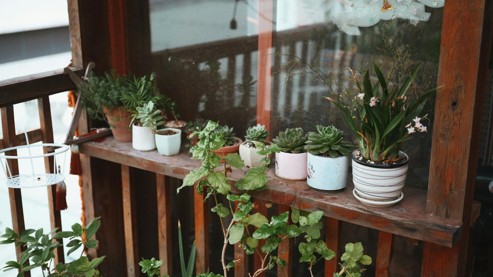 Comment aménager un petit balcon avec des plantes [Teste] — astuce jardinage