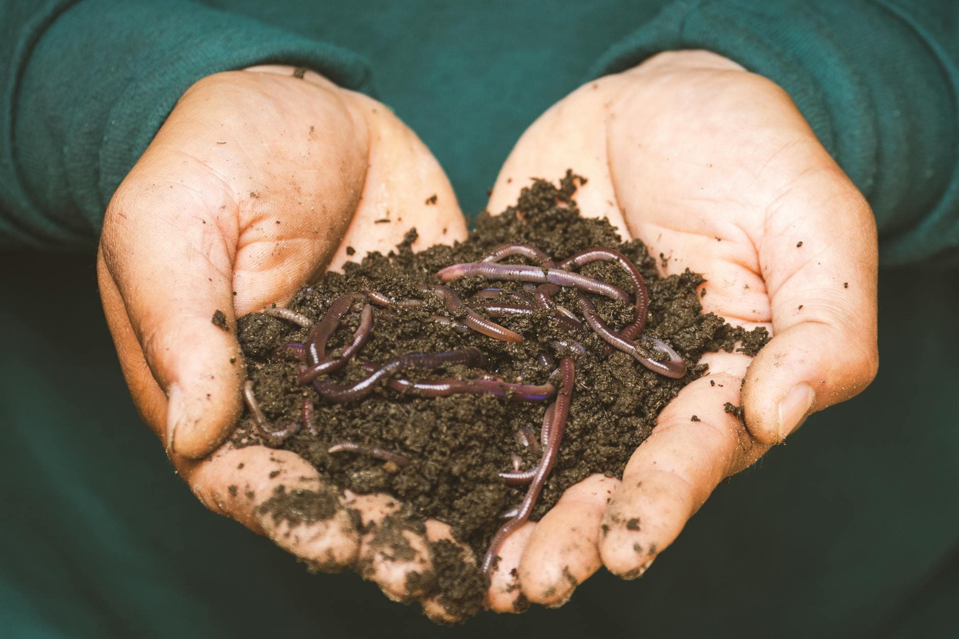 Comment faire du compost en appartement [Teste] — astuce jardinage BonneAstuce.fr