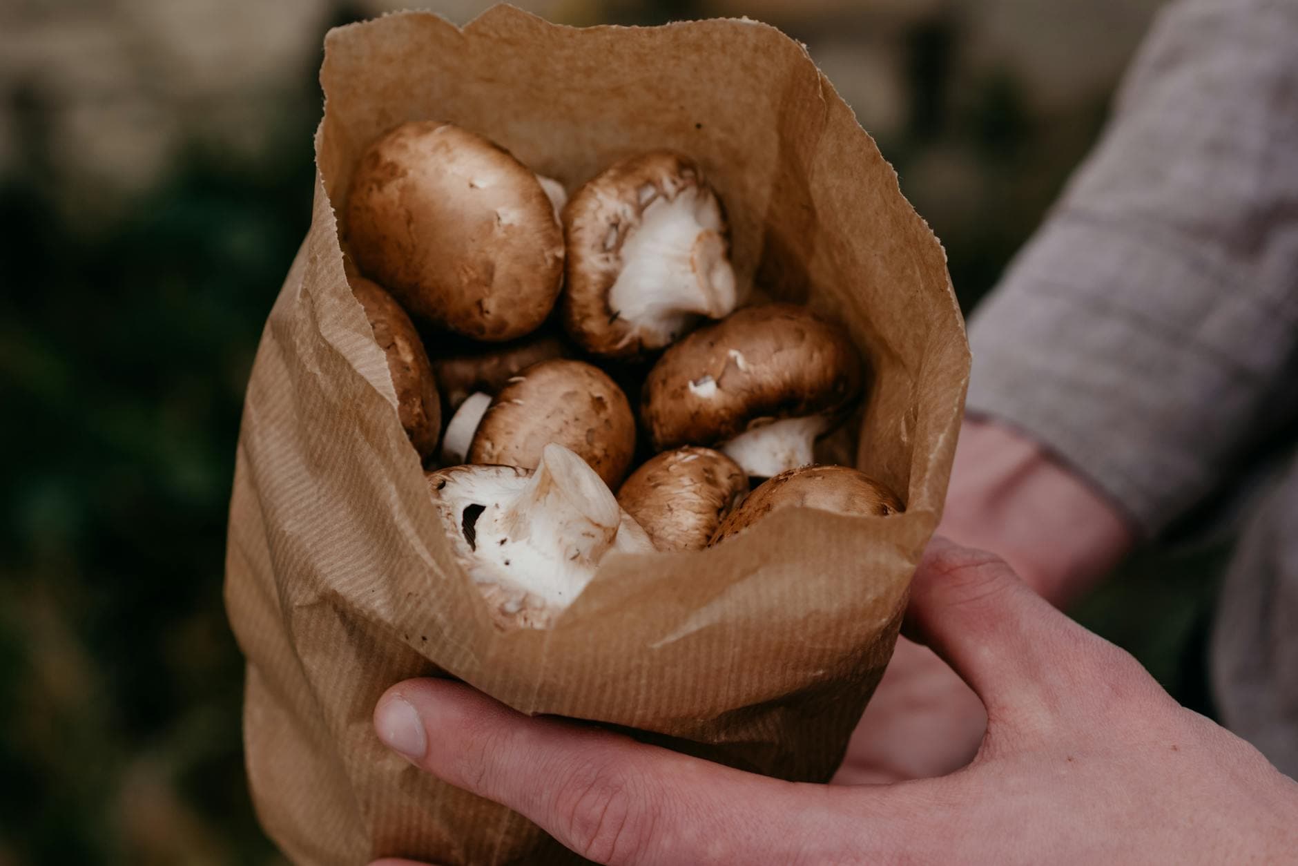 Conserver les champignons sans qu'ils noircissent [Facile] — astuce cuisine