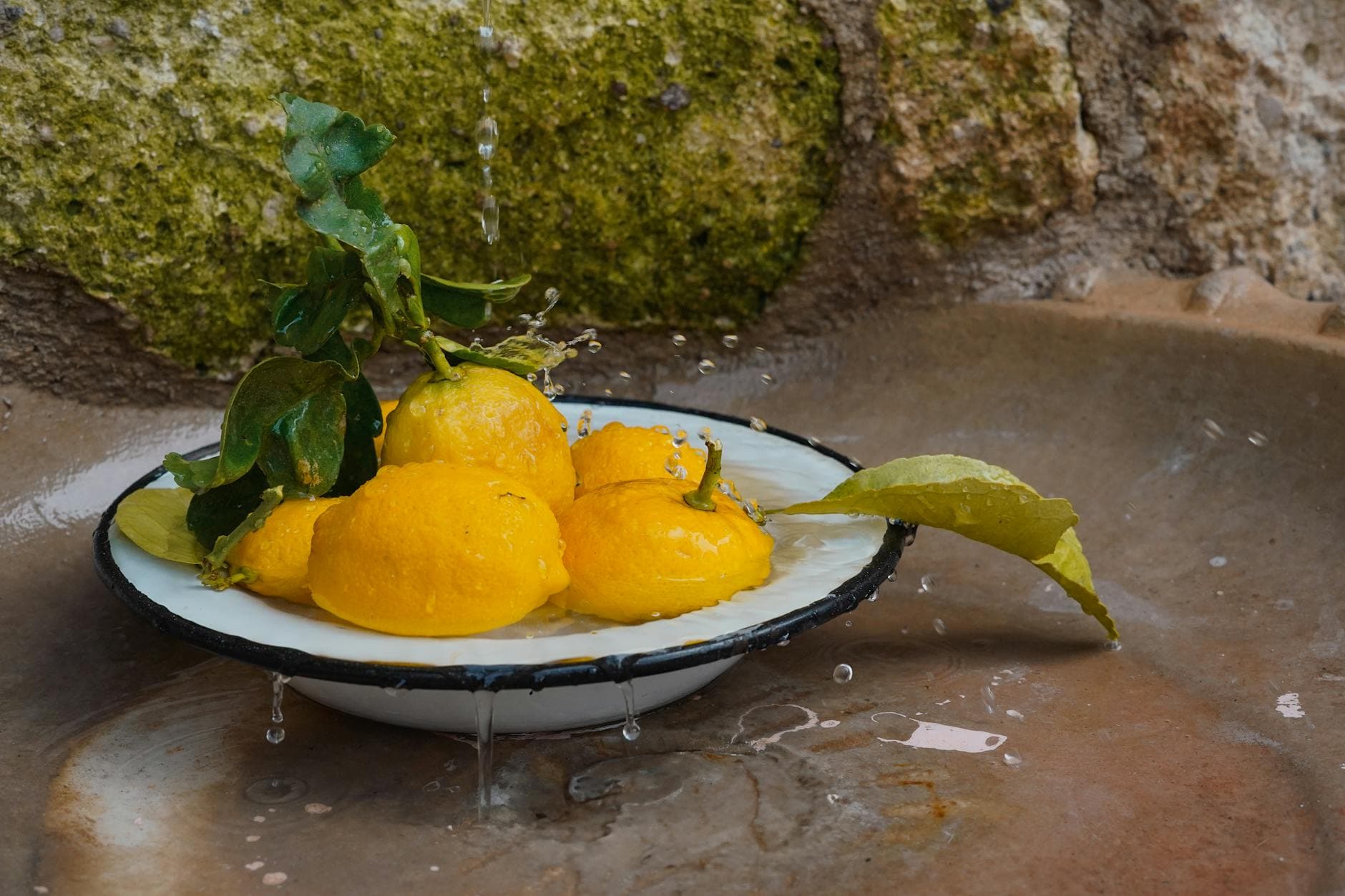 Comment conserver les citrons fermes pendant 3 mois [Facile] — astuce cuisine