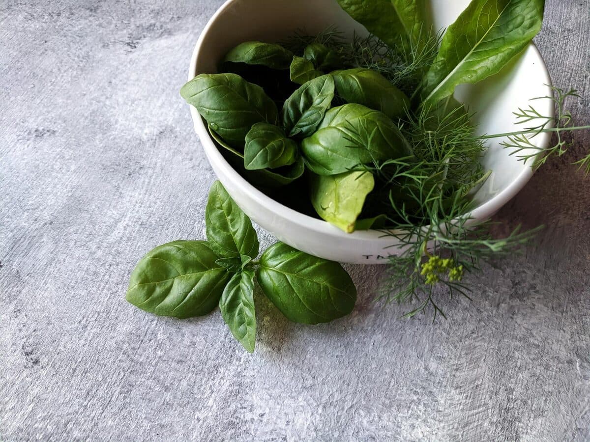 Congeler le basilic pour le conserver toute l'année [Facile] — astuce cuisine BonneAstuce.fr