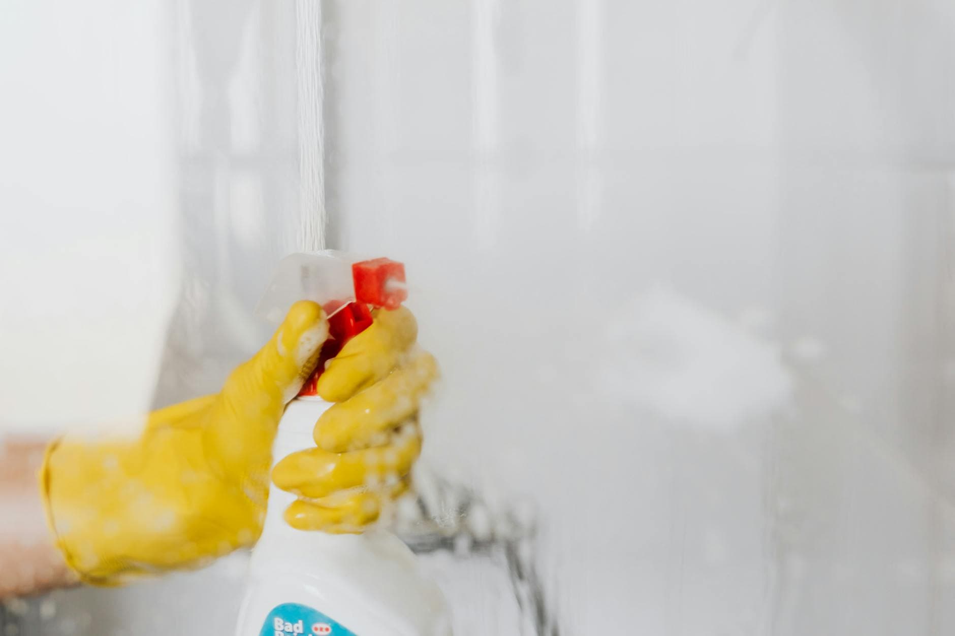 Éliminer les moisissures sur les murs [Astuce] — astuce nettoyage BonneAstuce.fr