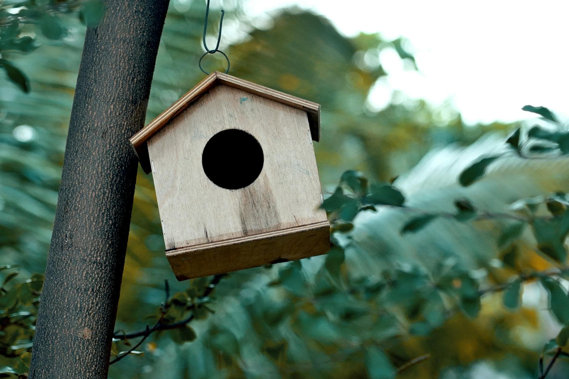 Fabriquer un nichoir à oiseaux en bois [Facile] — astuce bricolage