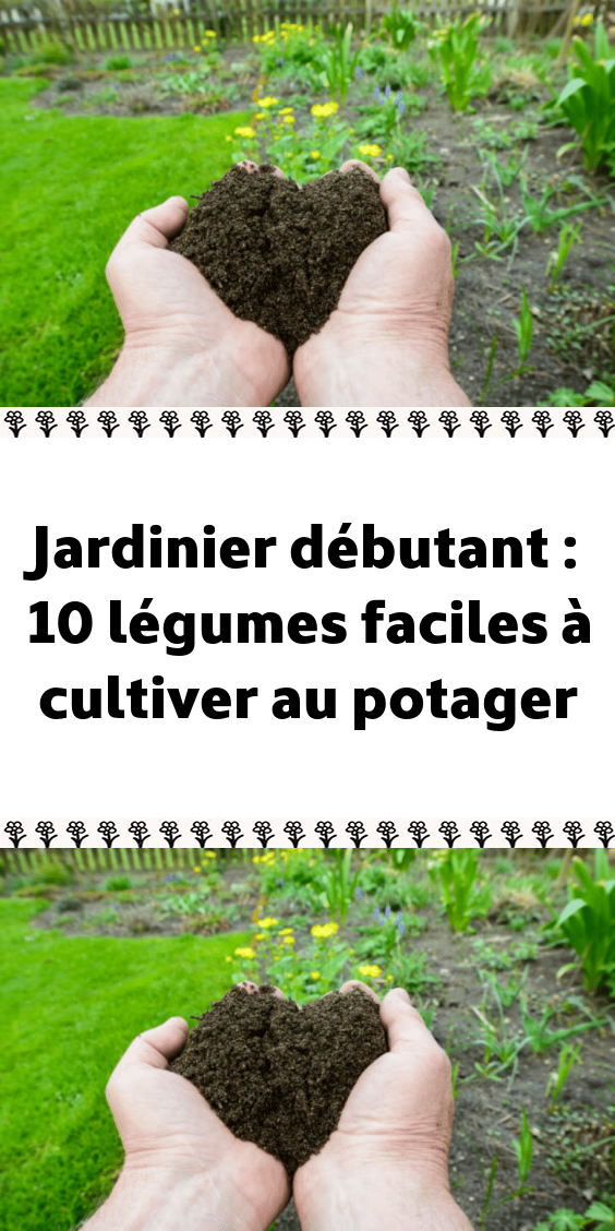Guide complet du jardinage pour débutants 2026 : potager, plantes et entretien — astuce jardinage