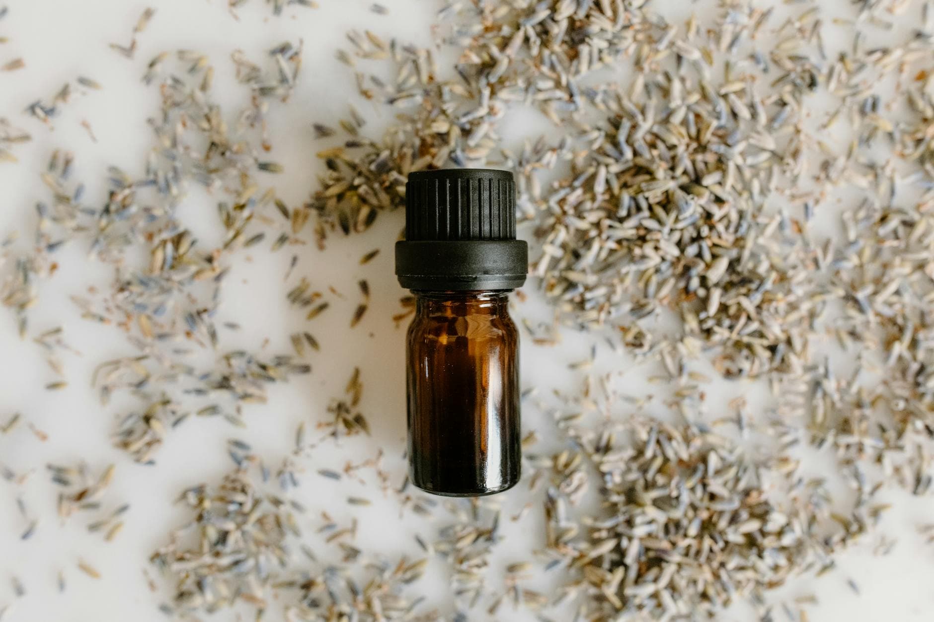 Huile essentielle de lavande : 10 usages du quotidien [Naturel] — astuce santé