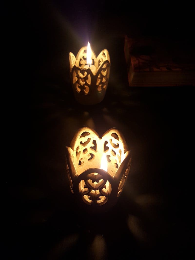 Pourquoi les feuilles de ma plante jaunissent et comment y remédier [Teste] — astuce jardinage