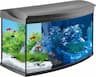 Tetra AquaArt Evolution Line 100 L (grand volume)