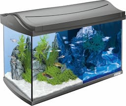 Tetra AquaArt Kit complet LED 60 L (équipement premium)