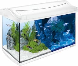 Tetra AquaArt 60 L Kit complet LED (filtre EasyCrystal + chauffage)