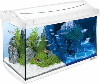 Tetra AquaArt 60 L Kit complet LED (filtre EasyCrystal + chauffage)