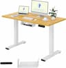 FlexiSpot bureau complet 100x60 (mono-moteur, plateau inclus)