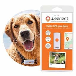 Weenect Dogs 2 (position toutes les 10 s)