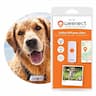 Weenect Dogs 2 (position toutes les 10 s)
