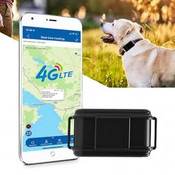 TKMARS TK919Pro (collier GPS 4G sans abonnement plateforme)