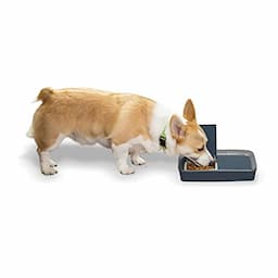 PetSafe 2 repas (le dépanneur simple)
