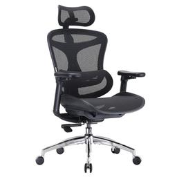 SIHOO Doro C300 (soutien lombaire dynamique, accoudoirs 3D)