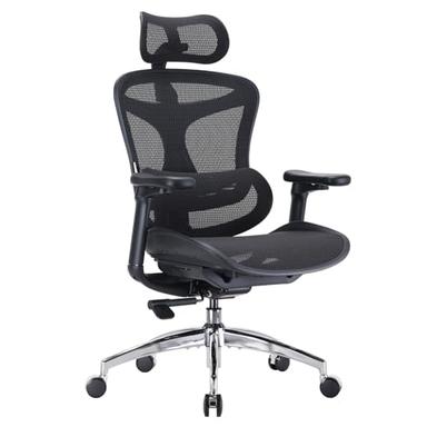 SIHOO Doro C300 (soutien lombaire dynamique, accoudoirs 3D)