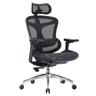 SIHOO Doro C300 (soutien lombaire dynamique, accoudoirs 3D)