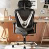 HOLLUDLE V-Back (soutien lombaire 3D, accoudoirs 3D)