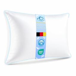 CloudÉtoile Oreiller 50x70 Plumes et Duvet 3 Chambres Certifié RDS