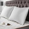 BedStory Lot de 2 Oreillers 60x60 cm Housse Fibres de Bambou
