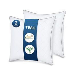 TESQ Lot de 2 Oreillers 60x60 cm Qualité Hôtelière Oeko-Tex