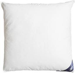 Oreiller duvet et plumes qualité supérieure 80x80 cm