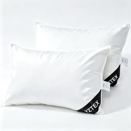 YZTEX Lot de 2 oreillers plumes et duvet d'oie hôtelier