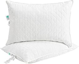 Deodar Oreillers duvet et plumes d'oie 50x70 (lot de 2)