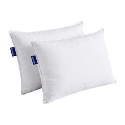 Bleu Calin Lot de 2 Oreillers Confort Ferme Alaska 50x70 cm