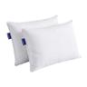 Bleu Calin Lot de 2 Oreillers Confort Ferme Alaska 50x70 cm