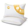 Panteka Oreiller Hôtel 50x70 cm Lot de 2 Moelleux et Doux