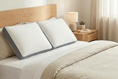 RESTBULLE Oreiller ergonomique 40x60x14 cm (mémoire de forme, marque française)