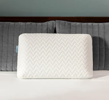 Ecosafeter Oreiller classique haute densité (housse bambou)