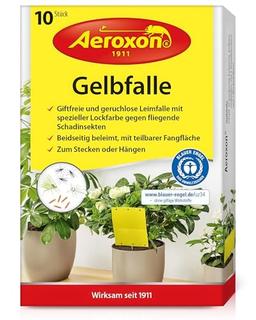 Aeroxon Pièges collants jaunes plantes d'intérieur (10 pièces)