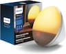 Philips SmartSleep HF3521/01 (lever coloré, 20 niveaux, 6 sons, veilleuse)