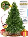 ArtiTree Sapin de Noël Artificiel 100 % PE 180 cm, pied bois FSC
