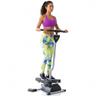Bonplus Stepper Cardio Twister avec guidon et écran LED