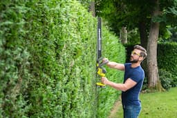 Ryobi ONE+ RHT1855R20 18V + batterie