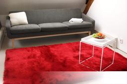 Tapis Shaggy Satin Poils Longs Soyeux Brillant 160x230
