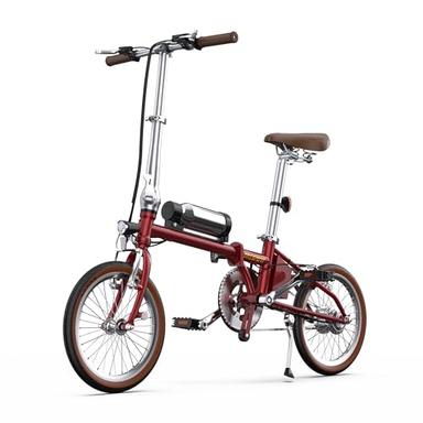 ONESPORT OT02 (mini pliant 16", 250W, léger 15 kg, batterie amovible)