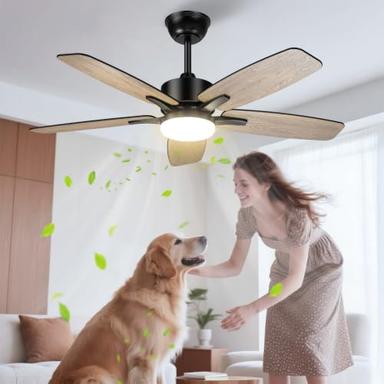 Airwit 106 cm pales double face à moteur DC