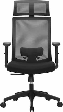 SONGMICS OBN55BK (appui-tête, inclinaison 120°)