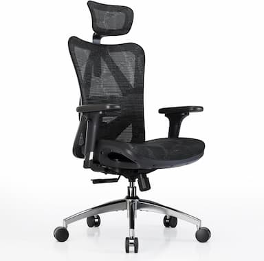 SIHOO M57 (accoudoirs 3D, appui-tête réglable)