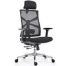 HOLLUDLE chaise de bureau ergonomique à dossier adaptatif, noire