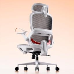SIHOO B100 chaise de bureau toute maille à support lombaire adaptatif