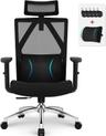 Daccormax Chaise de Bureau Ergonomique 200 kg