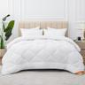 Aisbo Couette 220x240 cm Hiver 450 g/m² Microfibre Blanc