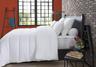 DODO Multi Protect Anti-Punaises 300 g/m² (220x240)