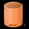 Sony SRS-XB100